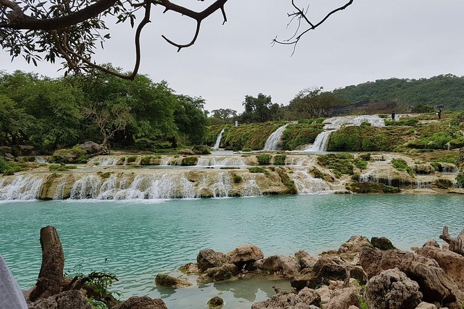 East & West Salalah Combination Tour - Darbat Waterfall, Mughsail - Traveler Feedback and Recommendations