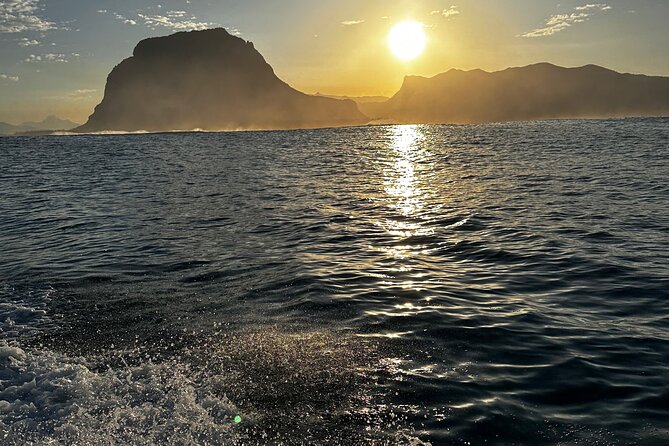 Eco-friendly Dolphin Watching Tour in Mauritius - Accessibility Information