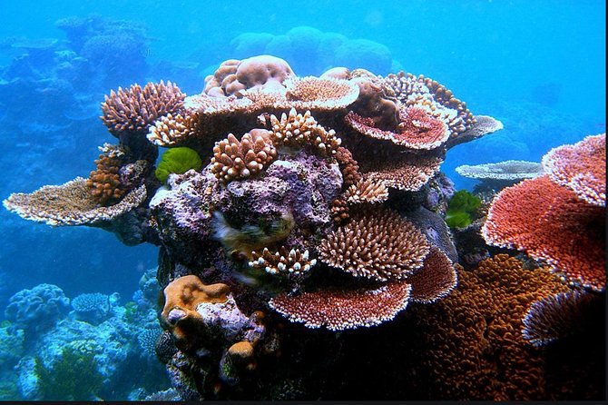 Eco Sea Scooter Guided Beach Tour From The Famous Kapalua Bay - Tour Requirements and Suitability