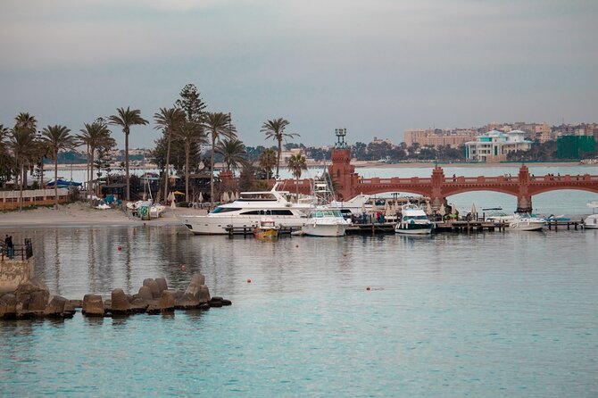 El Alamein Day Trip From Alexandria Port - Customer Reviews