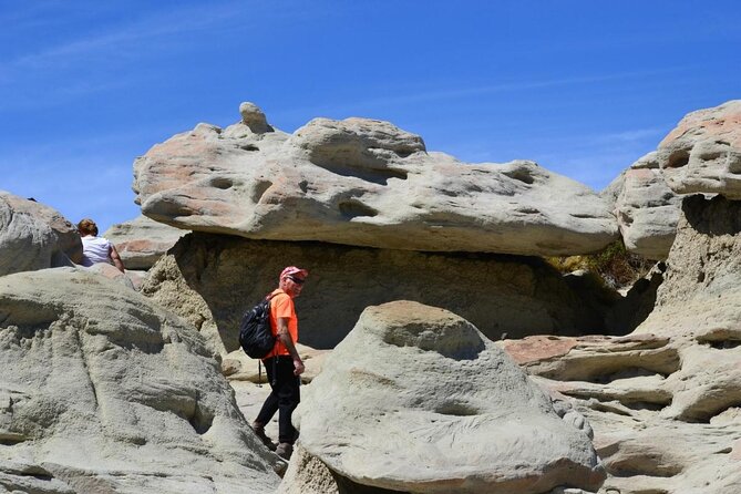 El Calafate: Day Trip to the Spectacular Petrified Forest La Leona - Tour Operator and Rating
