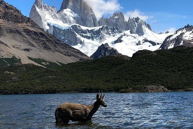 El Chaltén Full Day & Free Trek From El Calafate - Stunning Landscapes