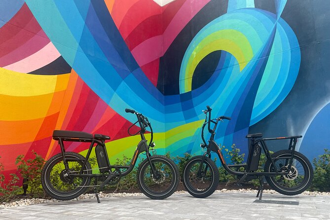 Electric Bike Day Rental - Additional Information