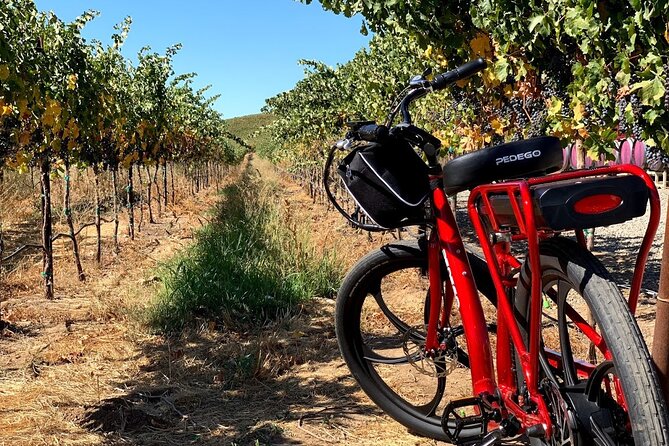 Electric Bike Rental in Livermore - Accessibility and Cancellation Policy