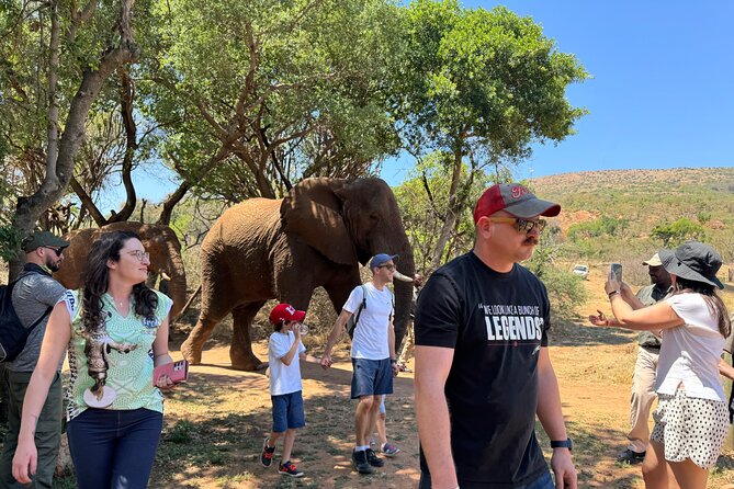 Elephant & Monkey Sanctuary Tour From Johannesburg - Interacting With the Monkeys