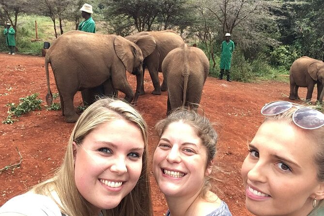 Elephant Orphanage, Giraffe Centre& Optional Nairobi Nationalpark - Bottled Drinking Water Included