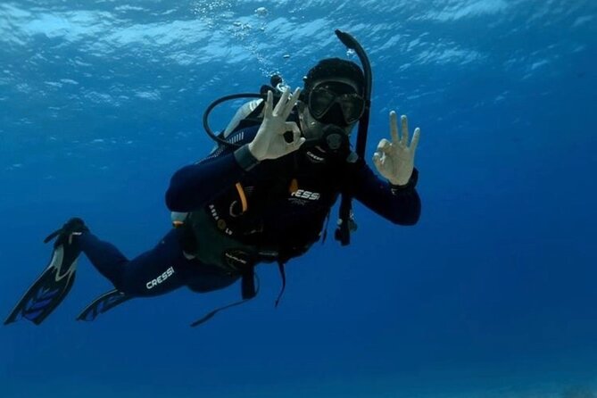 Set out on a Professional and Passionate Scuba Diving Adventure! - Booking Details