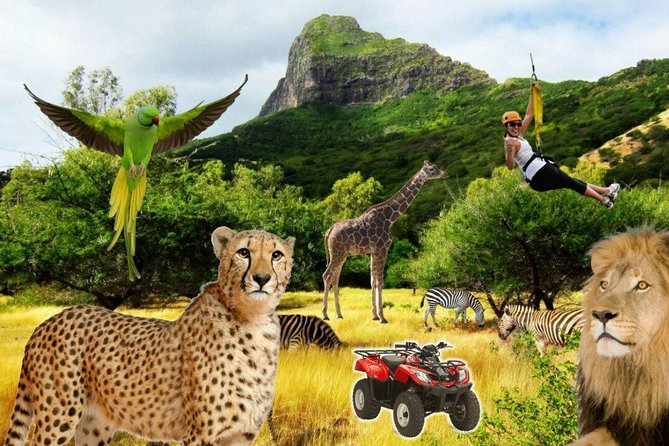 Enchanting South of Mauritius: Full-Day Tour Incl CASELA Park, Lunch & Transfer - Activities Included