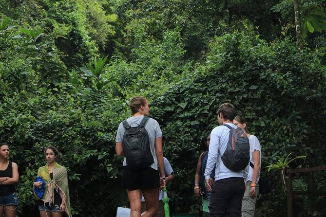 Entrance Fee to Arenal Volcano Ecological Park - Visitor Reviews and Experiences