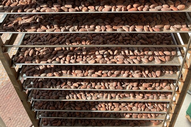 Ethical Chocolate Tour - Tours Final Chocolate Factory