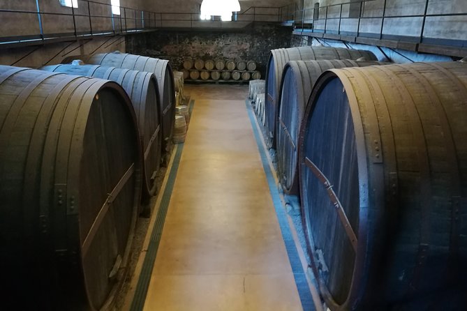 Etna Excursion and Lunch - Wine Tasting in Etna DOC Vinery - Private Tour Details