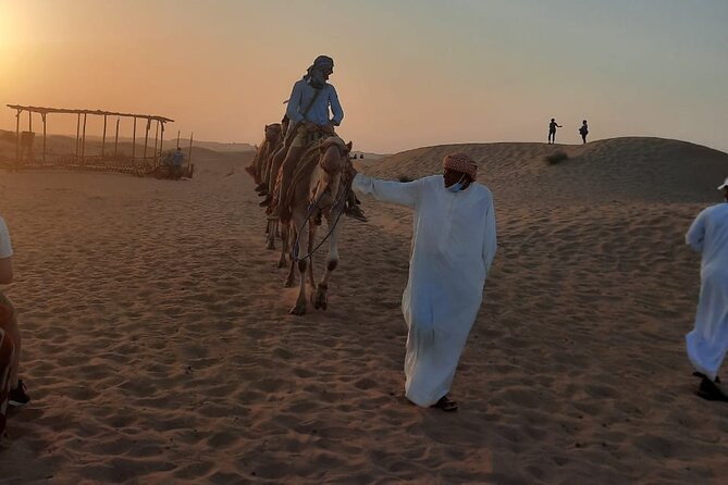Evening Desert Safari in Dubai With Dune Bashing , Camel Ride and BBQ Dinner - Dune Bashing Adventure