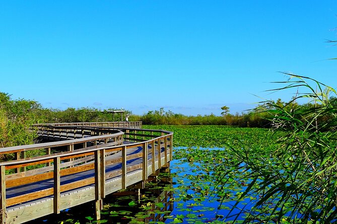 Everglades National Park Self Guided Driving Audio Tour - User Reviews and Feedback