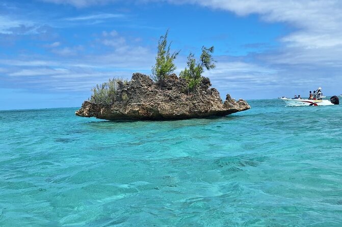 Exciting Dolphin Encounters in the Maurtiuss Lagoon - Whats Included and Requirements