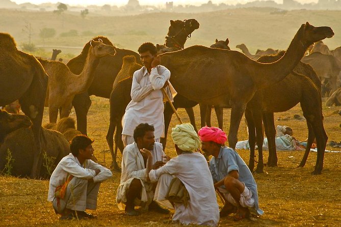 Exclusive: Guided Pushkar Day Trip From Jaipur - Customer Reviews and Ratings
