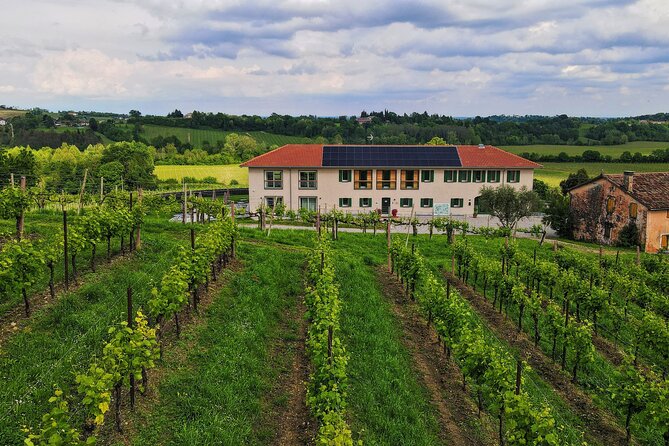 Exclusive Tour of the Vineyards With Visit to the Cellar! - Inclusions and Amenities