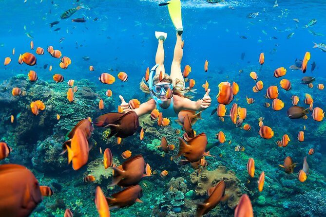 Exclusive: Tulum Ruins, Reef Snorkeling, Cenote and Caves - Health and Safety Guidelines