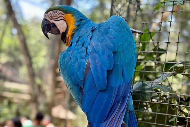 Excursion to Iguaçu Falls, Bird Park and Itaipu Dam - Discovering Itaipu Dam