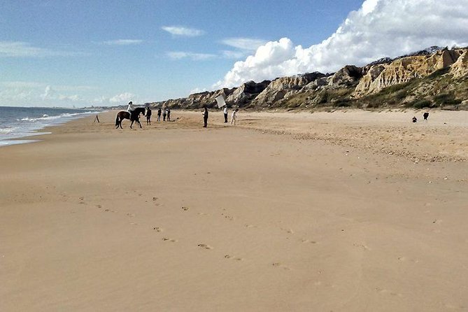 Excursion to the Beaches of Huelva From Seville - Private Tour - Driver Highlights