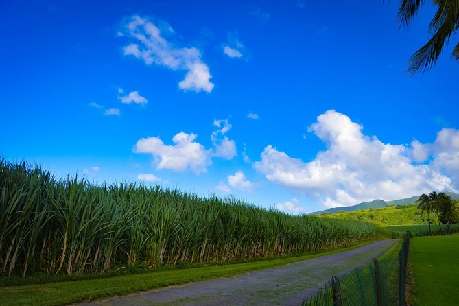 Excursions in the North or in the South of Martinique - Accessibility and Transportation Options