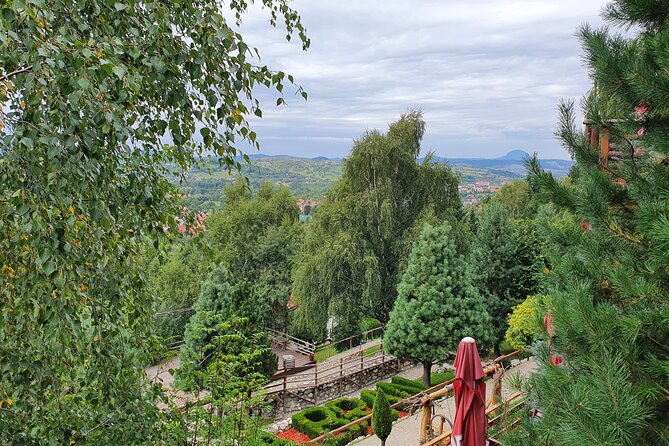Executive Dracula Day Trip - See Bran & Peles Castle, Brasov From Bucharest - Cultural Immersion