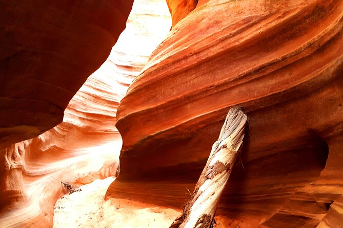 Experience a Secret Slot Canyon in Southern Utah! - Highlights of the Tour