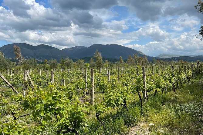 Experience Blue Eye , Lekuresi Castle and Taste Traditional Albanian Wine - Cancellation Policy and Refund Conditions