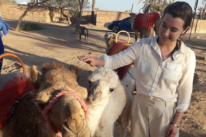 Experience Camel Ride Sunset or Anytime - Accessibility and Availability