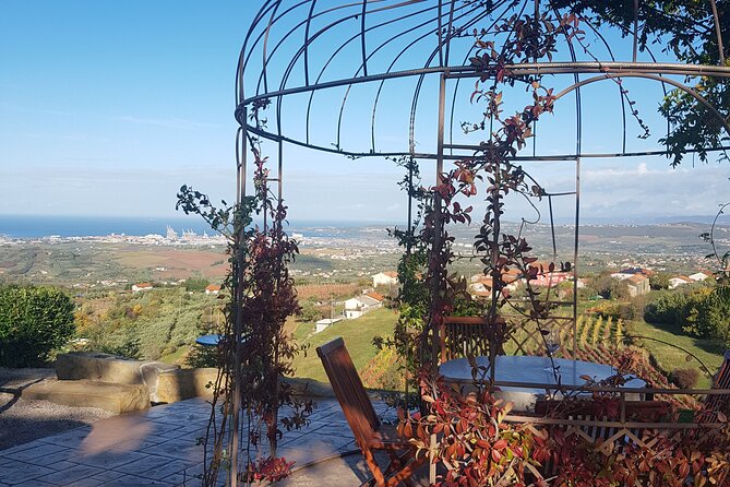 Experience Slovenian Coast Line With Wine Tasting From Trieste - Responsible Drinking Policies