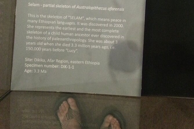 Explore Addis Ababa - Transportation and Logistics