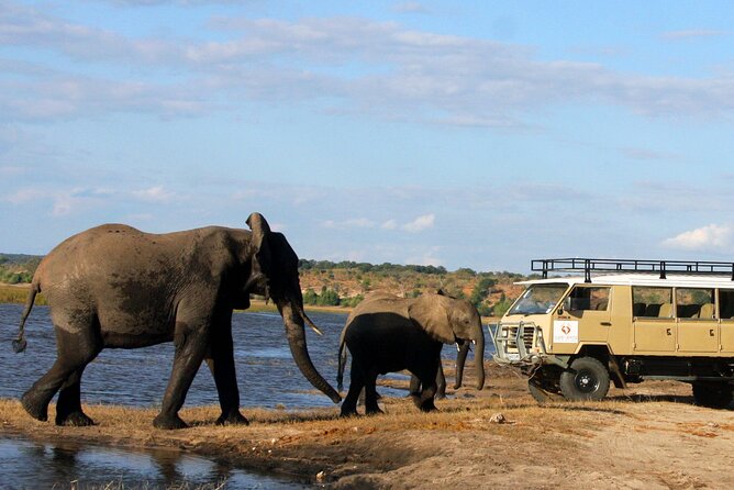 Explore Chobe National Park With a Day Trip From Victoria Falls - Boat and Driving Safaris
