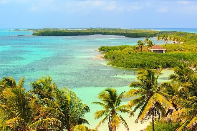 Explore Contoy Island - Booking and Pricing