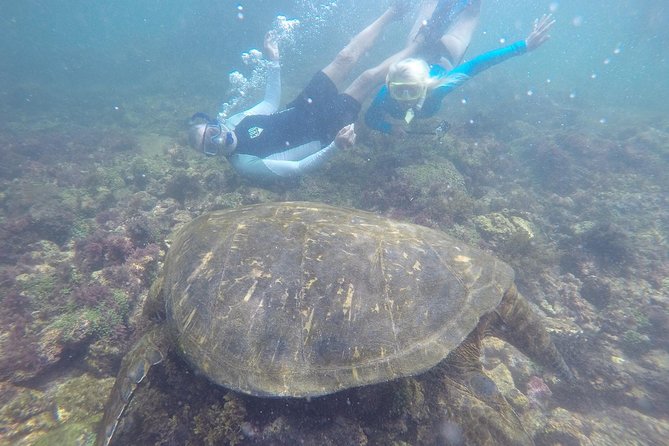 Explore San Cristobal & Santa Cruz Galapagos Islands - 5 Days - Questions About Your Stay