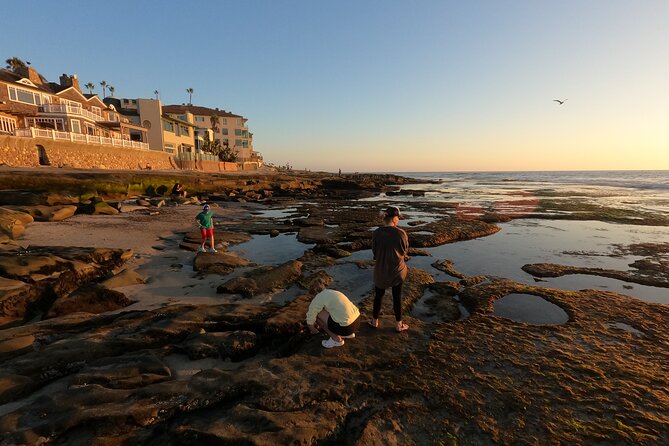 Explore San Diego Tide Pools With a Marine Biologist - Accessibility Considerations