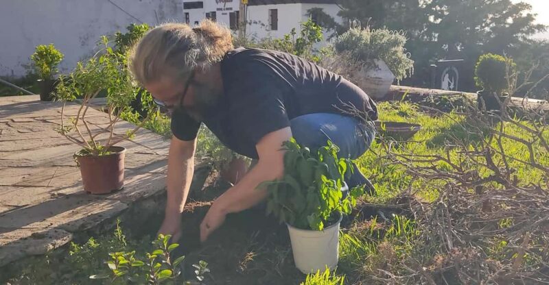 Exploring Herbal Treasures: A Guided Herbal Walk on Pelion - Tea Infusion and Tasting