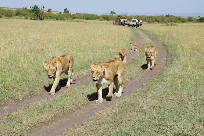 Family & Friends Safari Full Package . - Booking Process