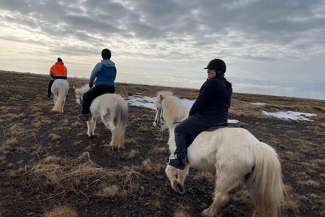 Family Horse Riding Tour in Thorlakshofn - Experience Highlights