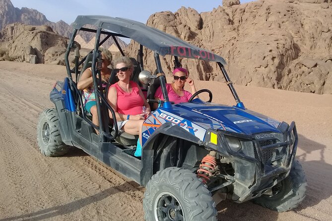 Family Or Double Buggy Safari & Bedouin Village in Sharm - Confirmation and Inclusions