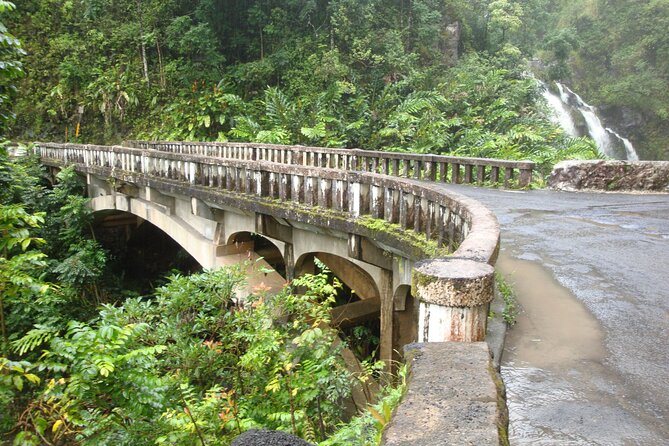 Famous Road to Hana Waterfalls, Black Sand Beach & Lunch - Expert Driver and Guide