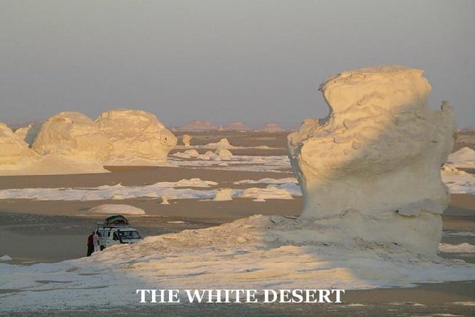 Fantastic Overnight White Desert and Baharya Oasis - Transportation Options