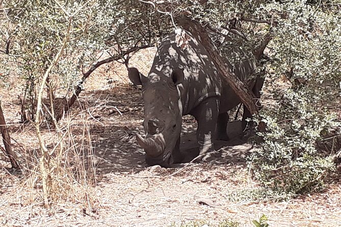 Fathala Wildlife Park - Scenic Highlights