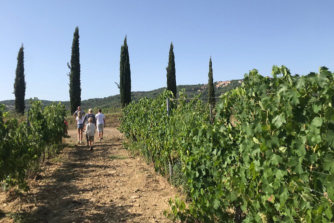 Fertuna On The Terrace - Discovering Tuscan Viticulture