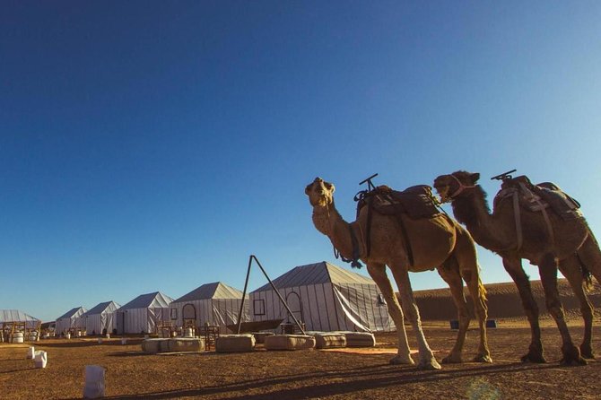 Fes to Marrakech Desert Tours 3 Days - Transportation and Logistics
