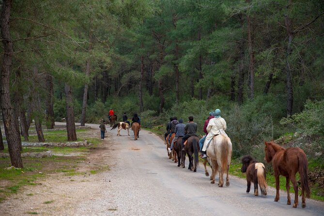 Fethiye Horse Riding Experience With Free Hotel Transfer Service - Health and Safety Guidelines