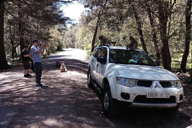 Fez: One Way Private Transfer To Chefchaouen - Vehicle and Amenities Overview
