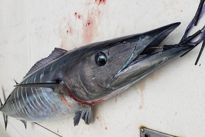 Fishing Charter 6 Hours - Fishing Experience