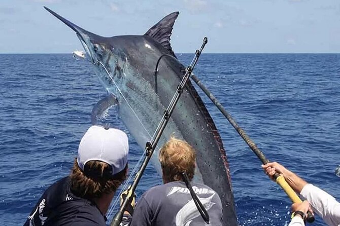 Fishing Charter Half Day From Punta Cana - Fishing Techniques