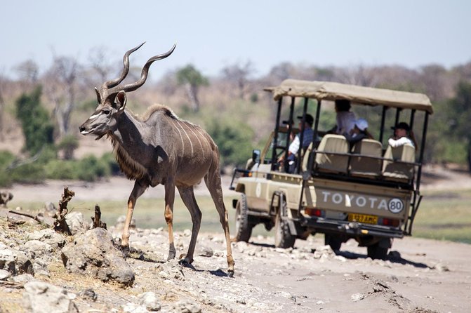 Five-Day Hwange NP, Chobe NP and Victoria Falls Combo - Accessibility Features