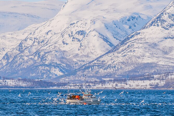 Fjord Safari in the Altafjord - Traveler Requirements