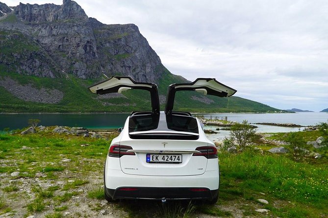 Fjord Sightseeing - Eco Friendly Tesla Model X - Additional Information